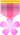 新人冠军奖